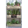 Huerto Vertical madera pared