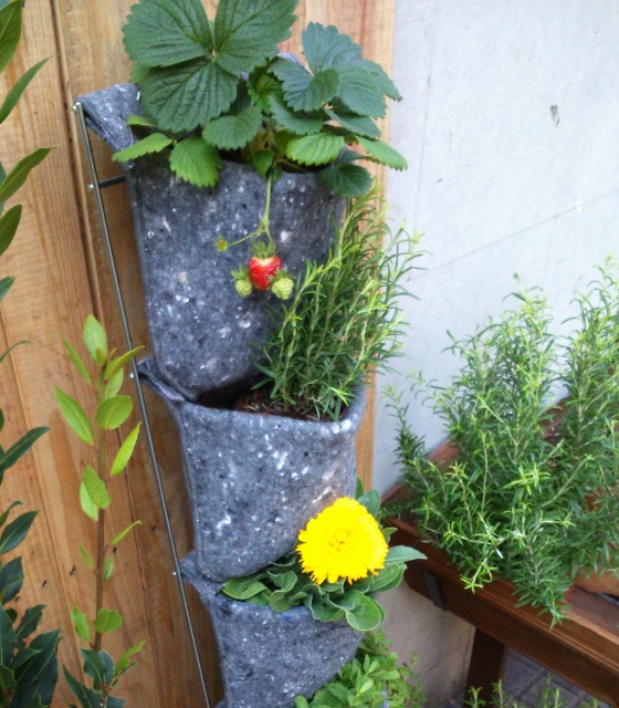 Hort Vertical
